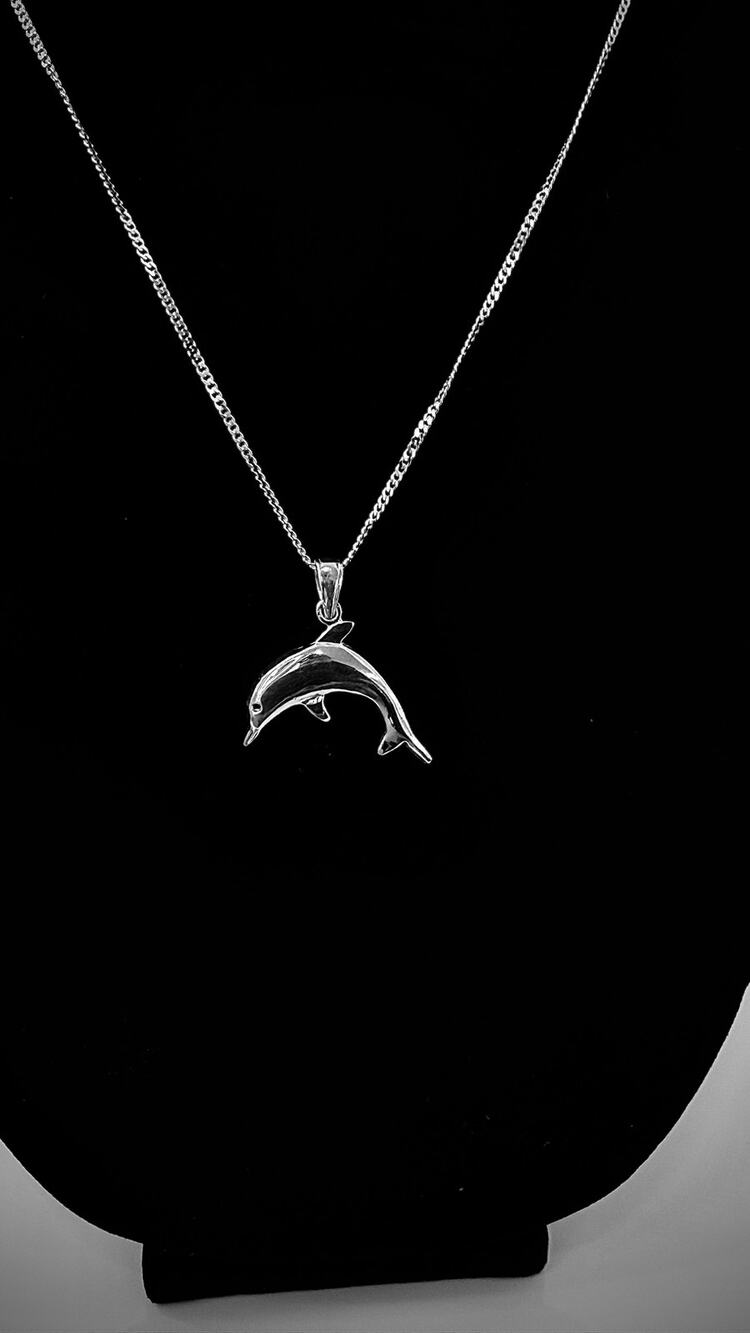 Dolphin Pendant 2mm Curb Chain Necklace